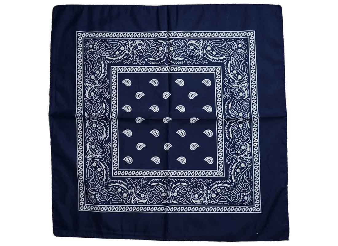 Paisley and Tubular Bandana